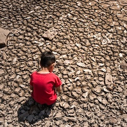 Dottnet Il Stato L Anno Pi Caldo Della Storia In Italia